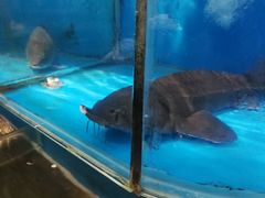 -鲁东大学-留学生餐厅