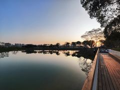 -金银湖国家城市湿地公园