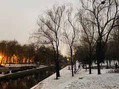 -元大都城垣遗址公园