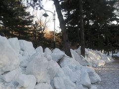 -长春市南湖公园