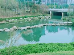 -牛岗山公园