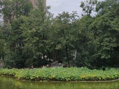 -西安市长乐公园