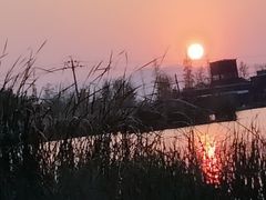 -呈贡滇池生态湿地公园