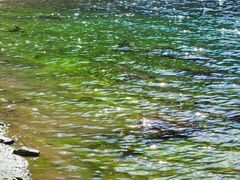 -叠溪松坪沟景区