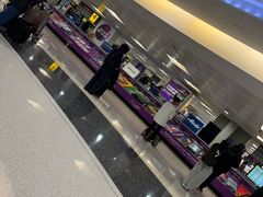 -纽瓦克自由国际机场