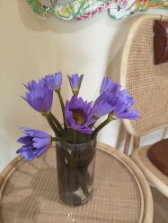 -小颜秘家·韩国整骨