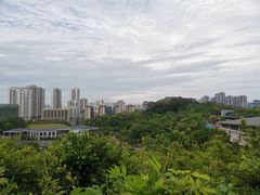 -壮乡楼民俗文化苑(李宁体育园店)