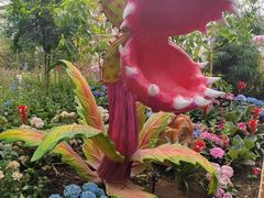 -沈阳植物园