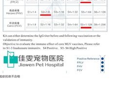-佳雯宠物医院(金华南路分院)