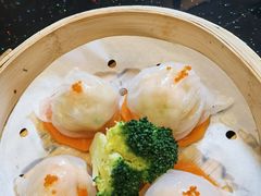 -渔人码头(中南店)