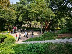 -晓港公园