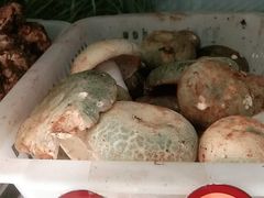 -菌之家·专业纯野生菌火锅·特色炒菌