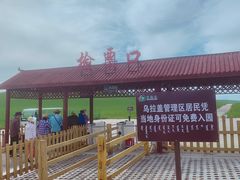 -乌拉盖芍药谷景区