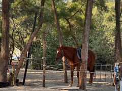 -玫瑰海岸文化旅游度假区