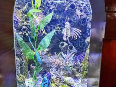 -太平洋海底世界