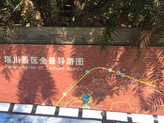 -塔川景区