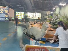 -上海大自然野生昆虫馆(东方明珠·爬宠昆虫探索中心)