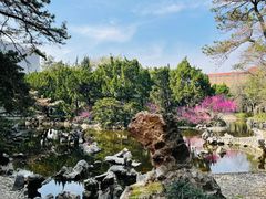 -叶家花园