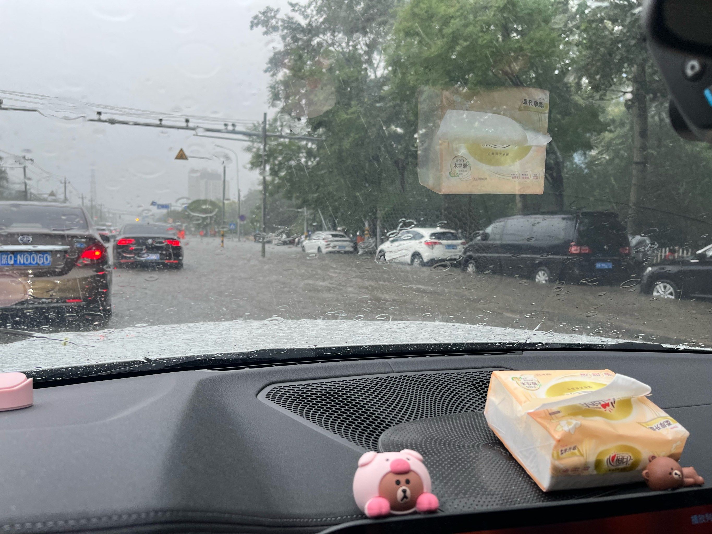 涉水时心惊胆战的,太吓人了[流泪]