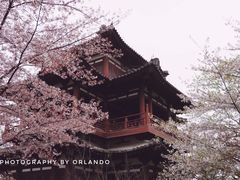 -西安青龙寺遗址景区