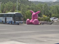 -苏木山森林公园