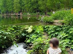 -重庆彩云湖湿地公园