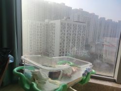 -添禧月子会所(高新店)