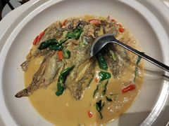 -杨厨的田园饭店(长城路店)