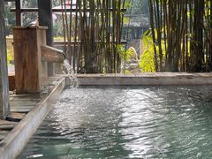 -崇阳三特浪口温泉