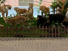 -南宫五洲植物乐园