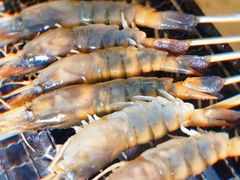 -白仁仔· 活烤海鲜 宵夜(豫园店)