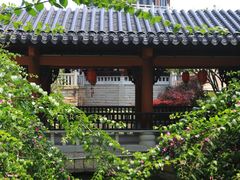 -广东花都湖国家湿地公园