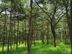 -承德避暑山庄景区
