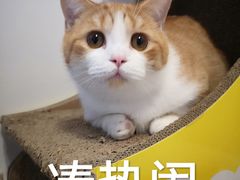 -仁爱团泊湖温泉中心