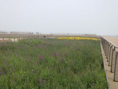 景点-东疆建设开发纪念公园