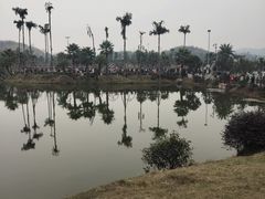 -枫香湖儿童公园