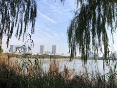 -渤公岛生态公园