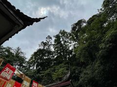 -青城山