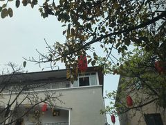 -胖大姐黄辣丁鱼庄(新津店)