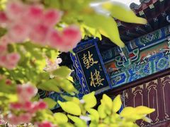 -洛阳白马寺