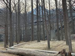 -阳台山自然风景区