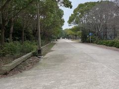 -胜华驾校·小猫学车(银都店)