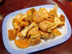 -菌之家·专业纯野生菌火锅·特色炒菌