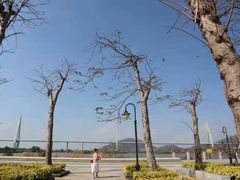 -芒洲湿地公园