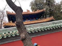 -北京国子监胡同
