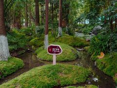 -成都市活水公园