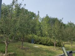 -东郊湿地公园