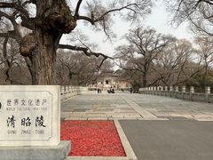 -北陵公园
