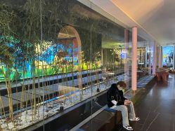 -爱儿美儿童摄影(朝阳公园店)