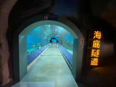 -福州罗源湾海洋世界旅游区